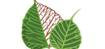 呼市水處理