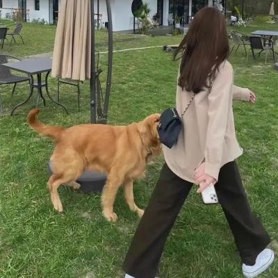 码头回声·前传海报